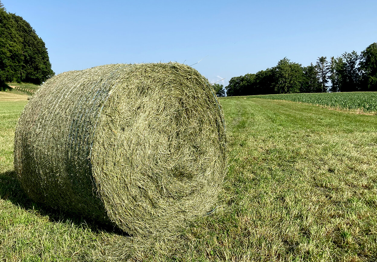 rohstoff_guelle.jpg rohstoff_guelle